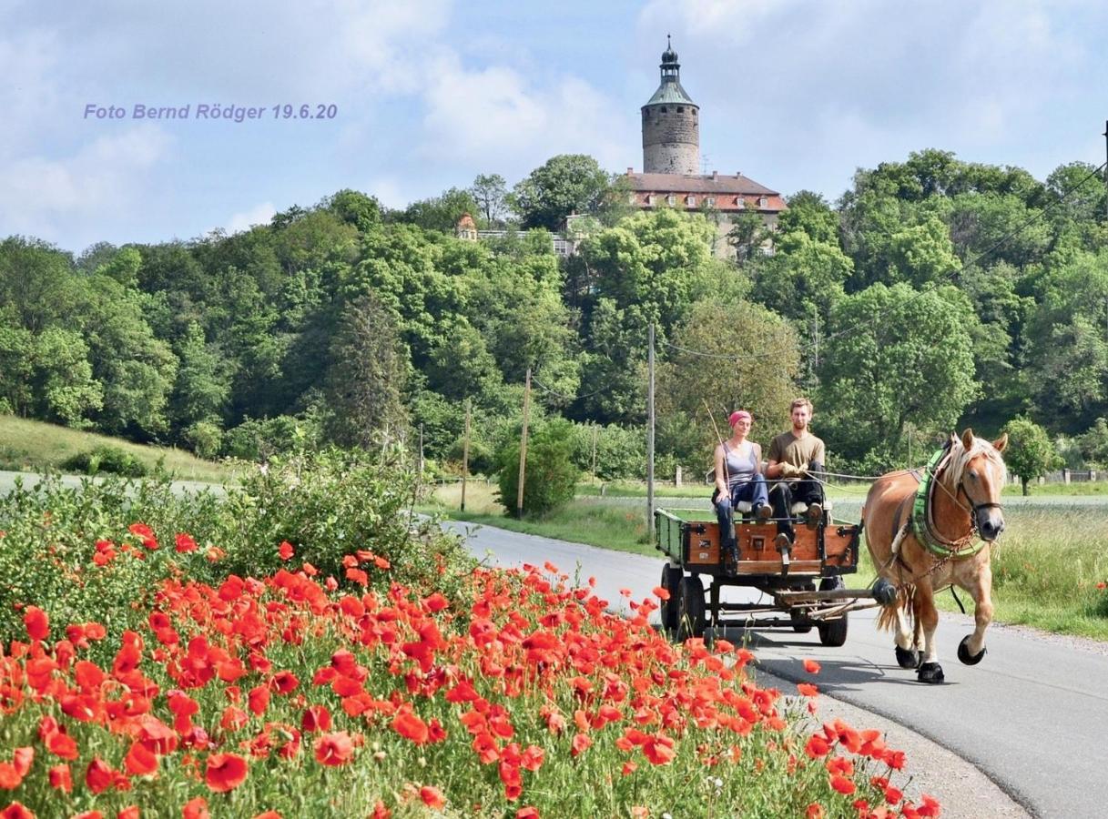 Pension Gruenes Herz Tonndorf Екстер'єр фото